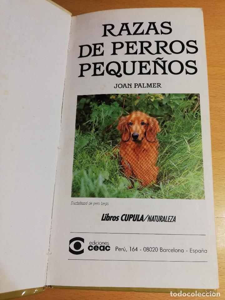 Libros de segunda mano: RAZAS DE PERROS PEQUE&Ntilde;OS (JOAN PALMER) - Foto 2