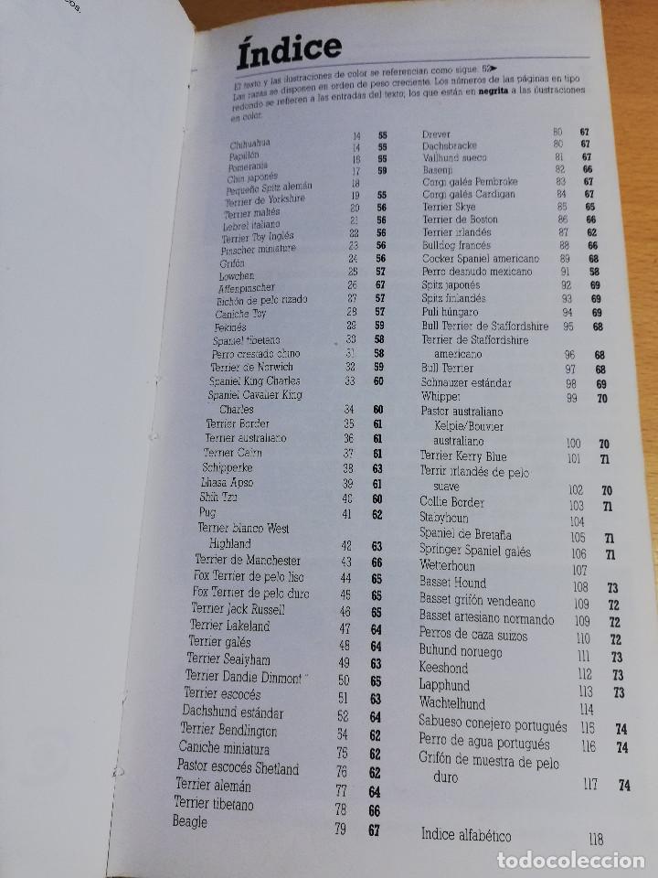 Libros de segunda mano: RAZAS DE PERROS PEQUE&Ntilde;OS (JOAN PALMER) - Foto 3