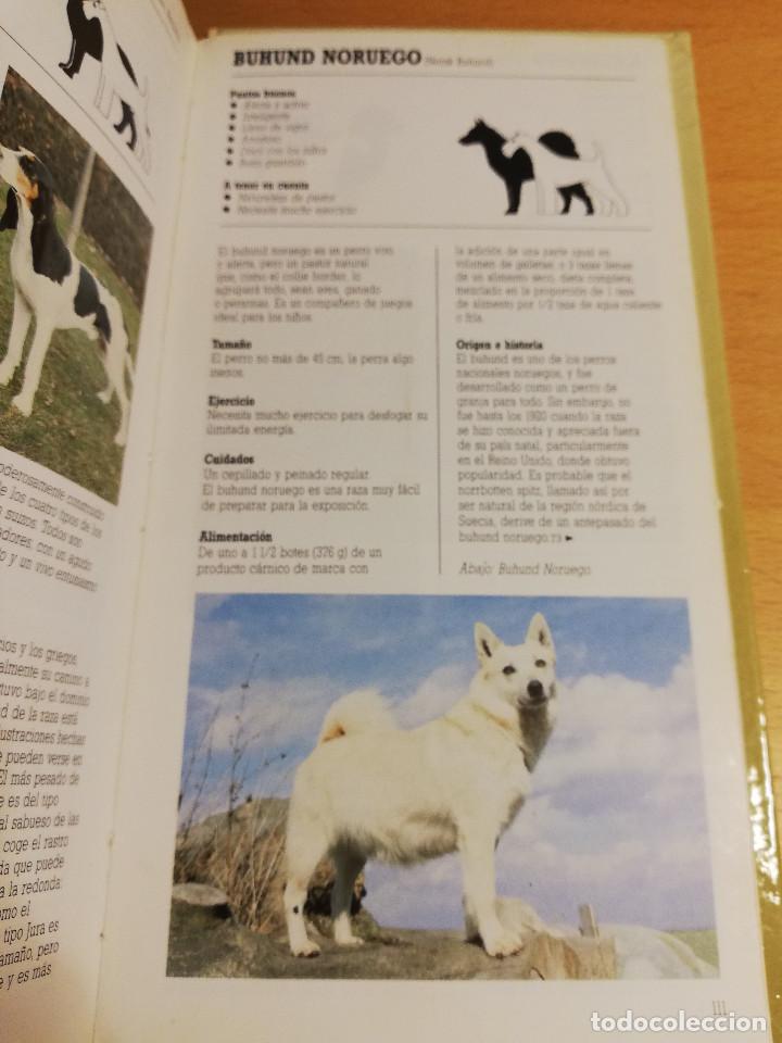 Libros de segunda mano: RAZAS DE PERROS PEQUE&Ntilde;OS (JOAN PALMER) - Foto 4