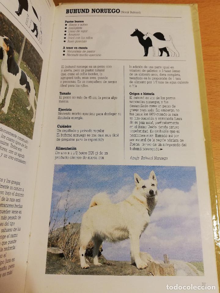 Libros de segunda mano: RAZAS DE PERROS PEQUE&Ntilde;OS (JOAN PALMER) - Foto 5