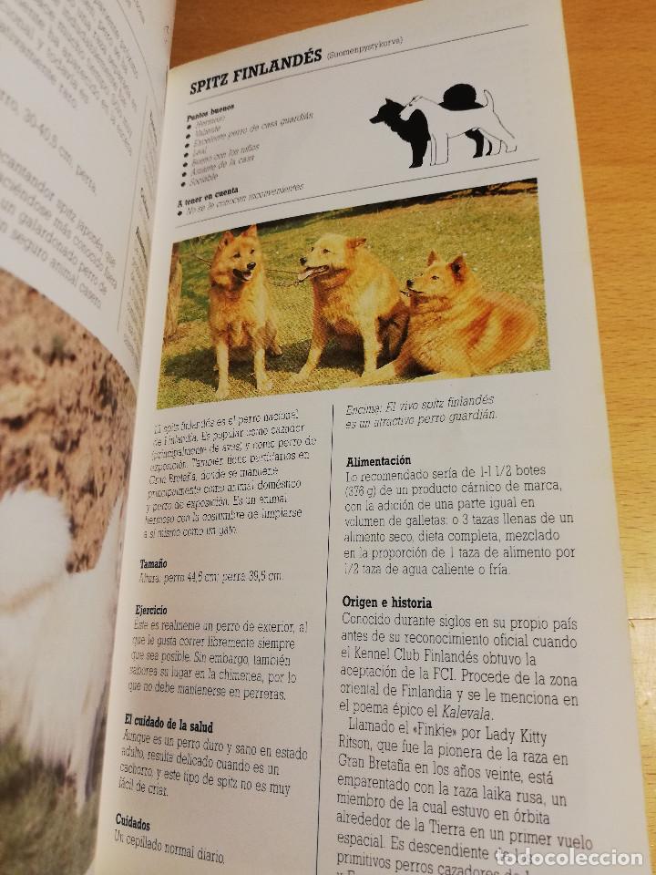 Libros de segunda mano: RAZAS DE PERROS PEQUE&Ntilde;OS (JOAN PALMER) - Foto 6