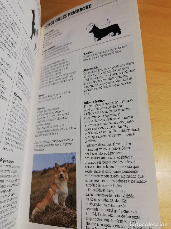 Libros de segunda mano: RAZAS DE PERROS PEQUE&Ntilde;OS (JOAN PALMER) - Foto 7