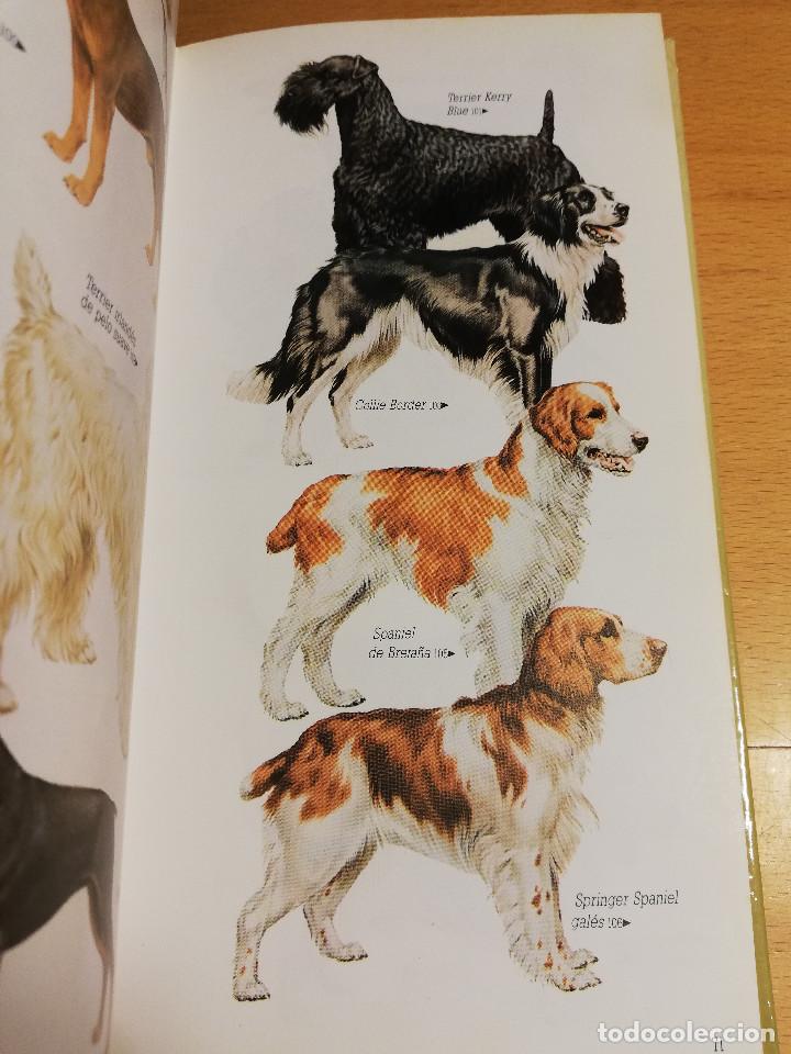 Libros de segunda mano: RAZAS DE PERROS PEQUE&Ntilde;OS (JOAN PALMER) - Foto 9