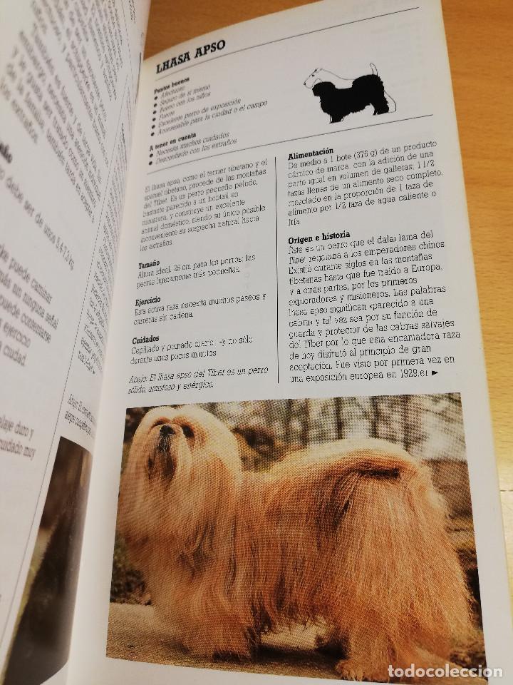 Libros de segunda mano: RAZAS DE PERROS PEQUE&Ntilde;OS (JOAN PALMER) - Foto 11
