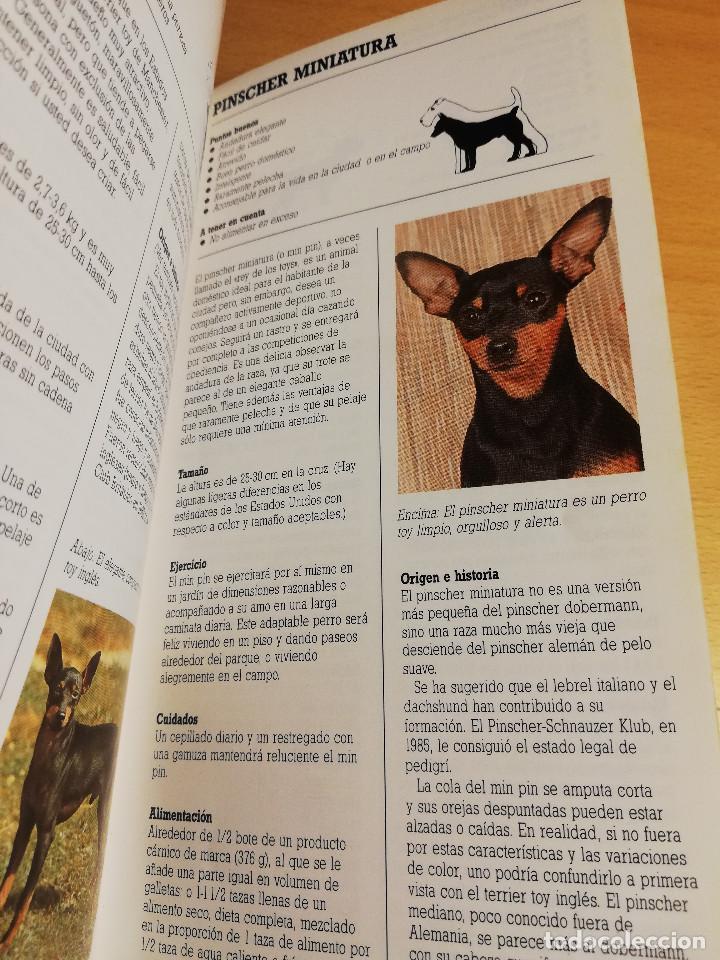 Libros de segunda mano: RAZAS DE PERROS PEQUE&Ntilde;OS (JOAN PALMER) - Foto 12