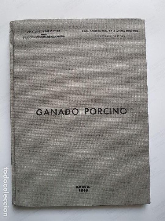 Libros de segunda mano: GANADO PORCINO: RAZAS PORCINAS EN EL NORTE Y EN EL SUR DE ESPA&Ntilde;A / SARDON, ZUZUARREGUI MARTOS. 1966