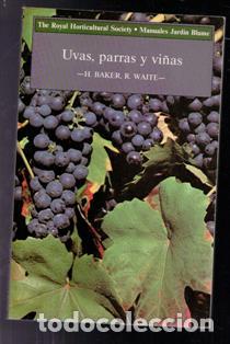 Libri di seconda mano: Uvas, parras y vi&ntilde;as, H. Baker, R. Waite