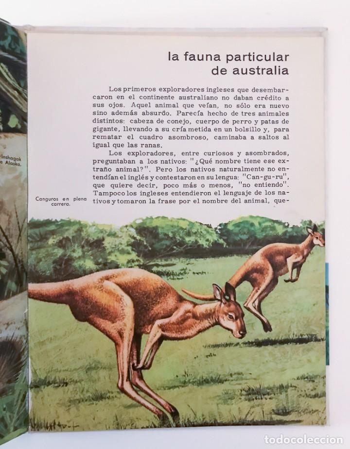 Libros de segunda mano: CONOCE LOS MAMIFEROS - FHER 1966 - Foto 2