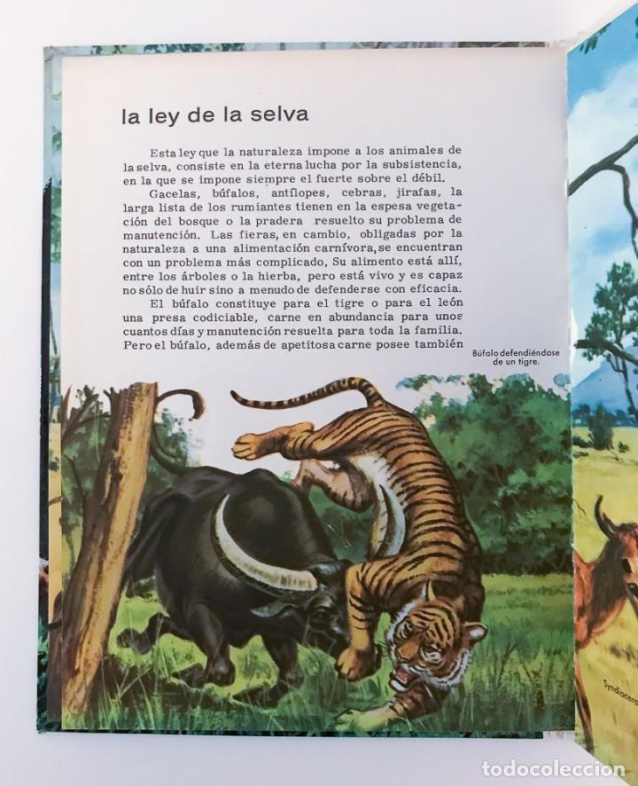 Libros de segunda mano: CONOCE LOS MAMIFEROS - FHER 1966 - Foto 3