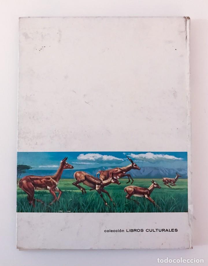 Libros de segunda mano: CONOCE LOS MAMIFEROS - FHER 1966 - Foto 5