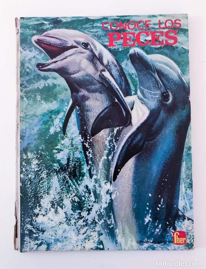Libros de segunda mano: CONOCE LOS PECES - FHER 1966 - Foto 1