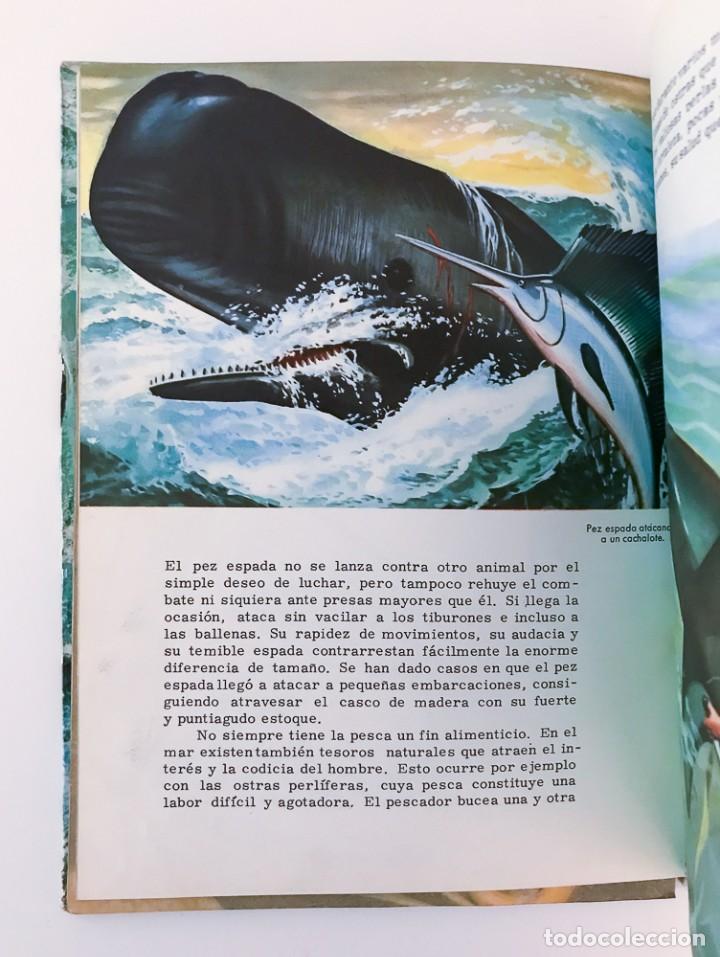 Libros de segunda mano: CONOCE LOS PECES - FHER 1966 - Foto 2
