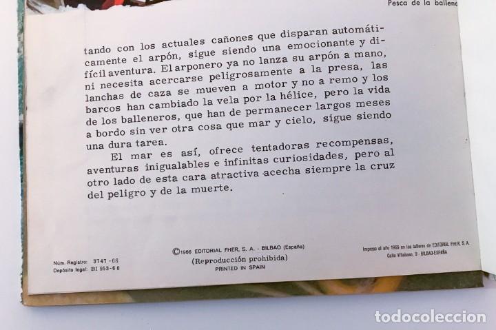 Libros de segunda mano: CONOCE LOS PECES - FHER 1966 - Foto 3