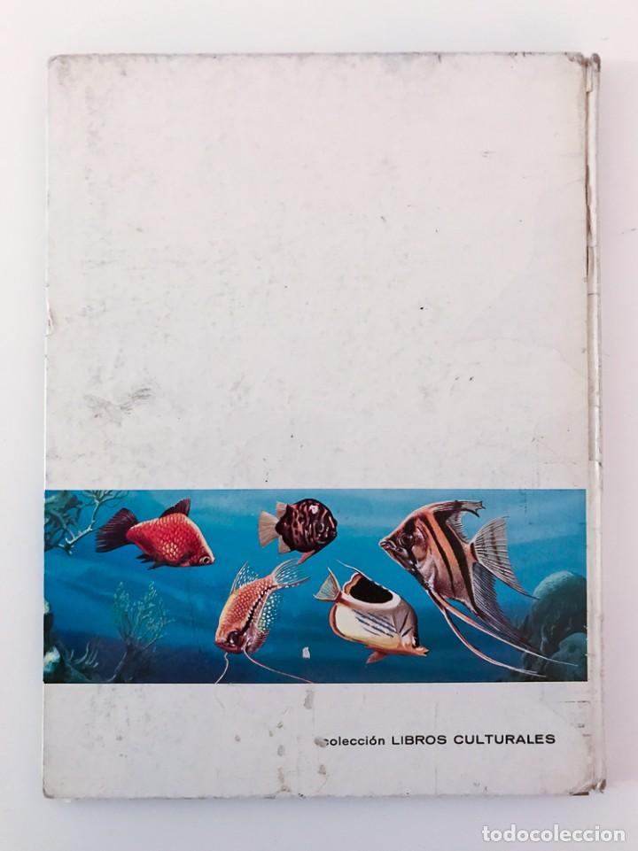 Libros de segunda mano: CONOCE LOS PECES - FHER 1966 - Foto 4