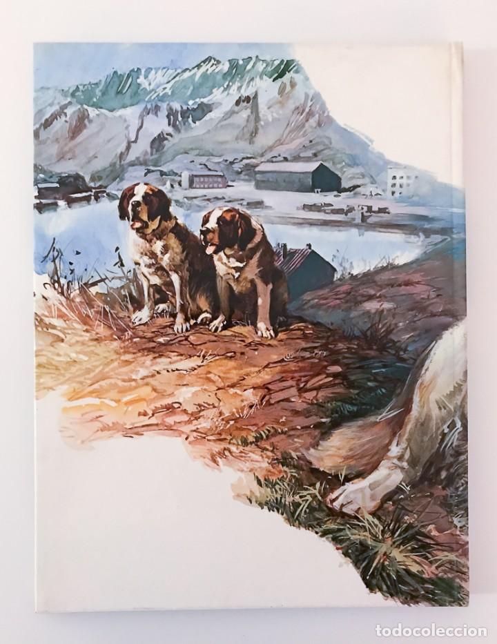 Libros de segunda mano: EL LIBRO DE LOS PERROS, 150 PREGUNTAS Y RESPUESTAS - 1981 - Foto 2