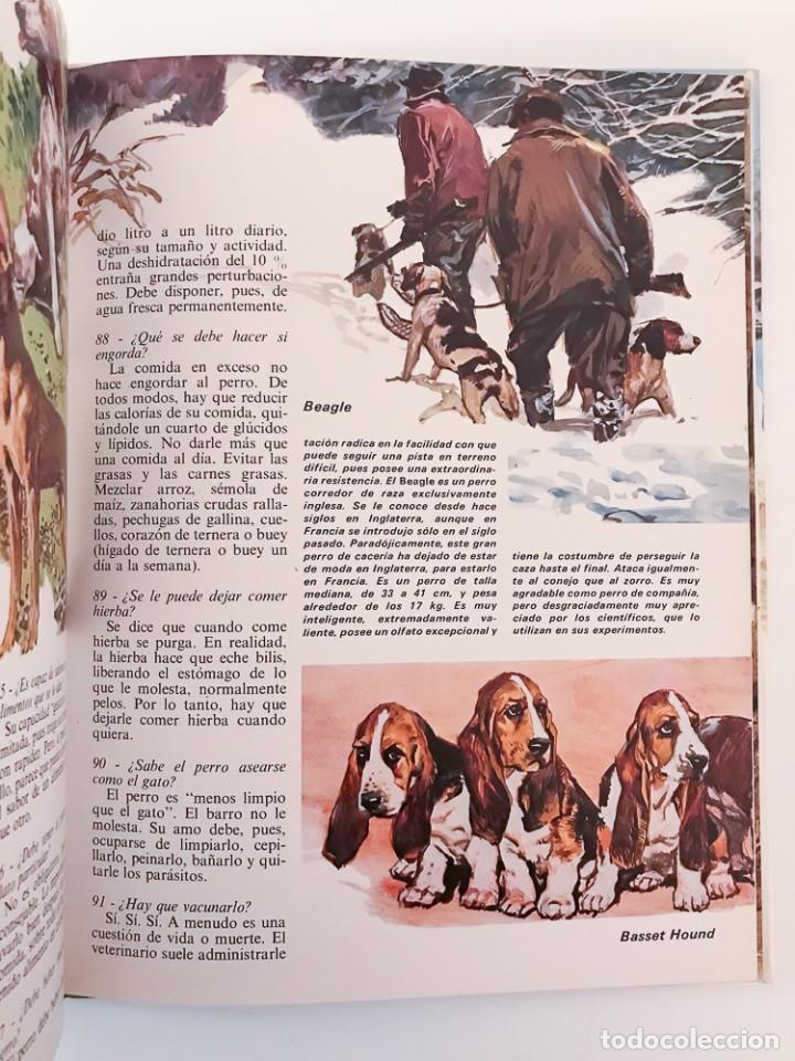 Libros de segunda mano: EL LIBRO DE LOS PERROS, 150 PREGUNTAS Y RESPUESTAS - 1981 - Foto 4