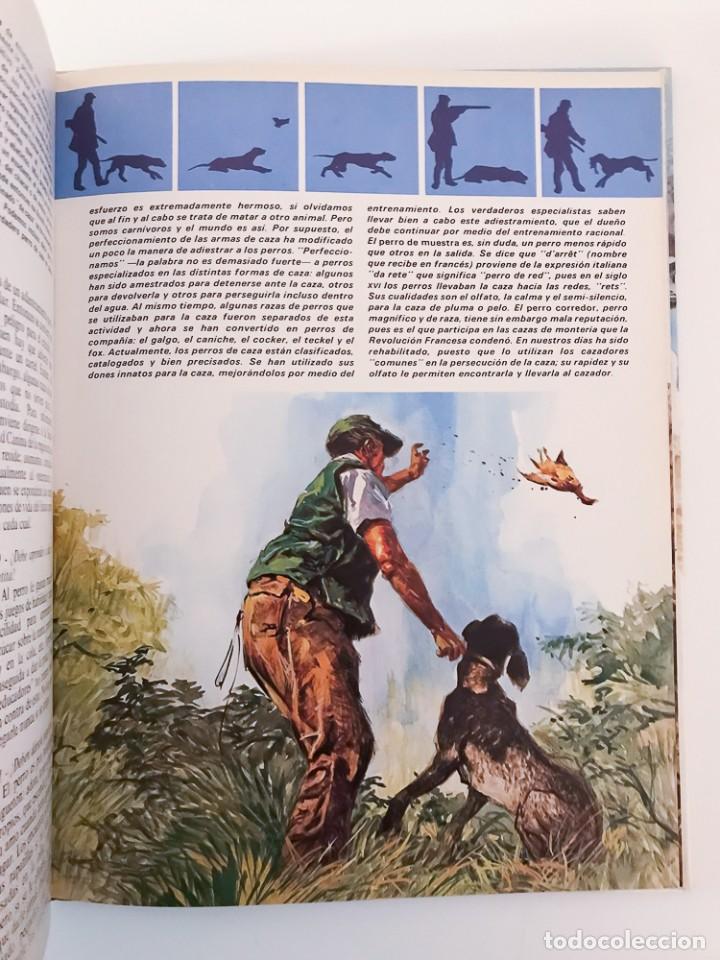 Libros de segunda mano: EL LIBRO DE LOS PERROS, 150 PREGUNTAS Y RESPUESTAS - 1981 - Foto 5