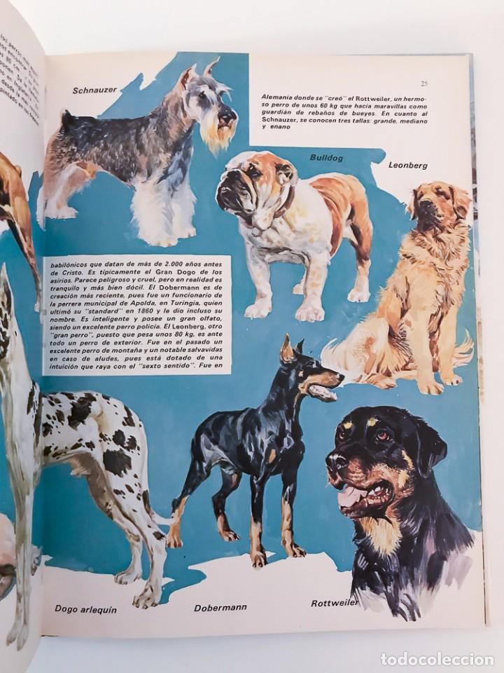 Libros de segunda mano: EL LIBRO DE LOS PERROS, 150 PREGUNTAS Y RESPUESTAS - 1981 - Foto 7