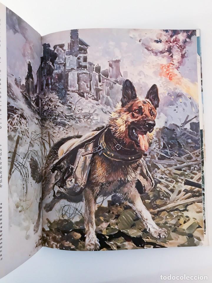 Libros de segunda mano: EL LIBRO DE LOS PERROS, 150 PREGUNTAS Y RESPUESTAS - 1981 - Foto 8