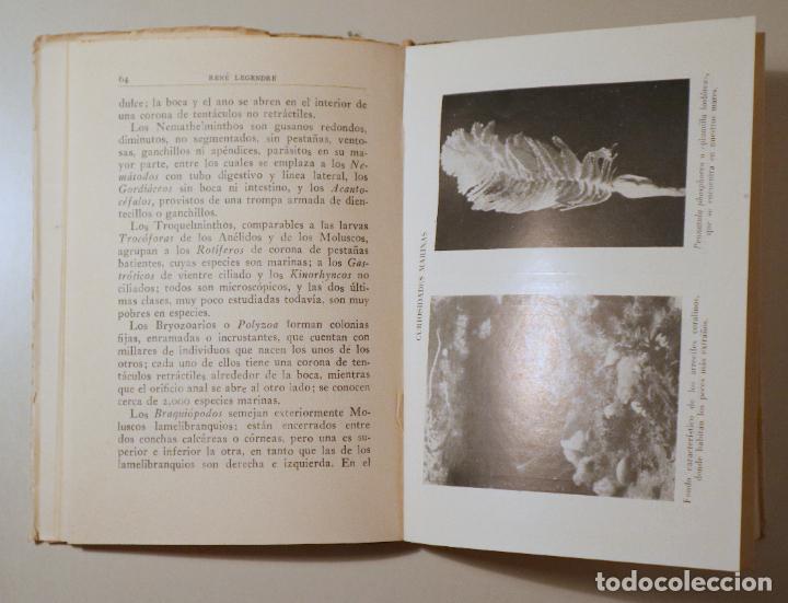 Libros de segunda mano: LEGENDRE, R. - LA VIDA EN LOS MARES - Barcelona 1947 - Ilustrado - Foto 2
