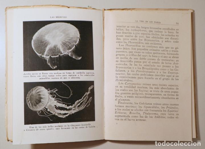 Libros de segunda mano: LEGENDRE, R. - LA VIDA EN LOS MARES - Barcelona 1947 - Ilustrado - Foto 3