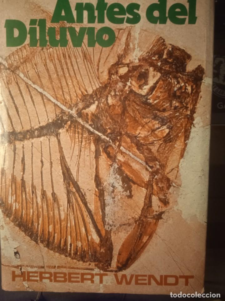 Libros de segunda mano: ANTES DEL DILUVIO - WENDT, HERBERT - Foto 1