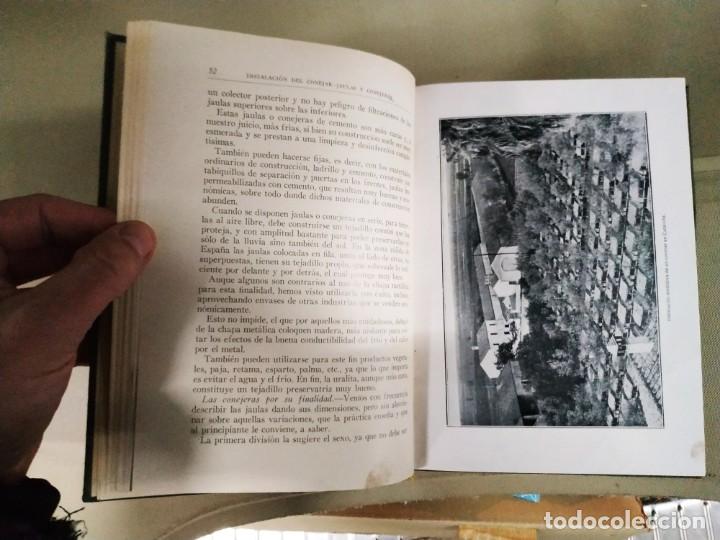 Libros de segunda mano: El Conejo y sus Productos - Santos Ar&aacute;n - Foto 5
