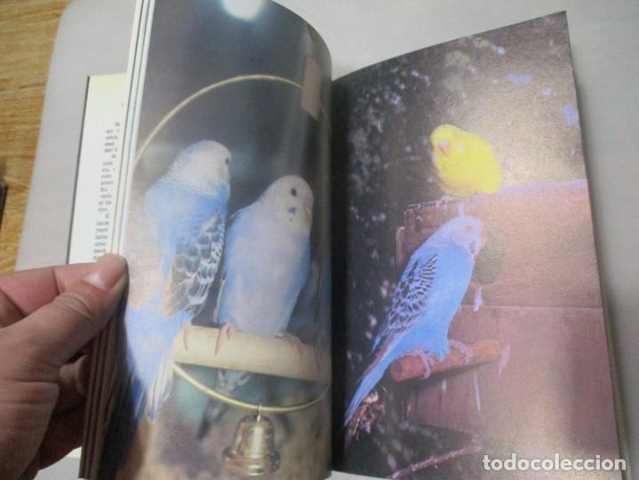 Libros de segunda mano: C. FEYERABEND Cr&iacute;a y cuidados de los periquitos W11254 - Foto 3