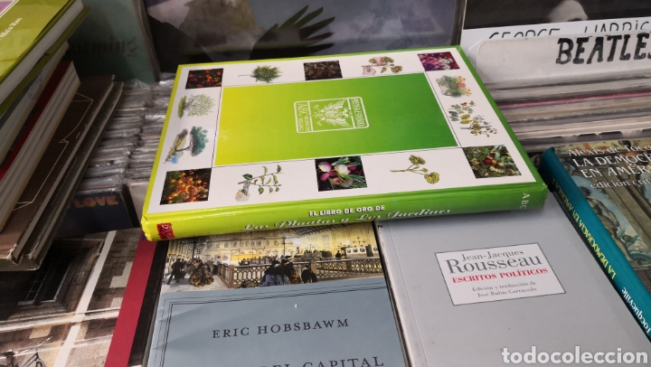 Libros de segunda mano: El libro de oro de las plantas y los jardines, abc - Foto 2