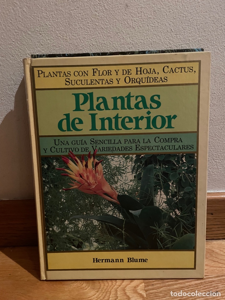 Libros de segunda mano: Plantas de interior Hermann Blume - Foto 1