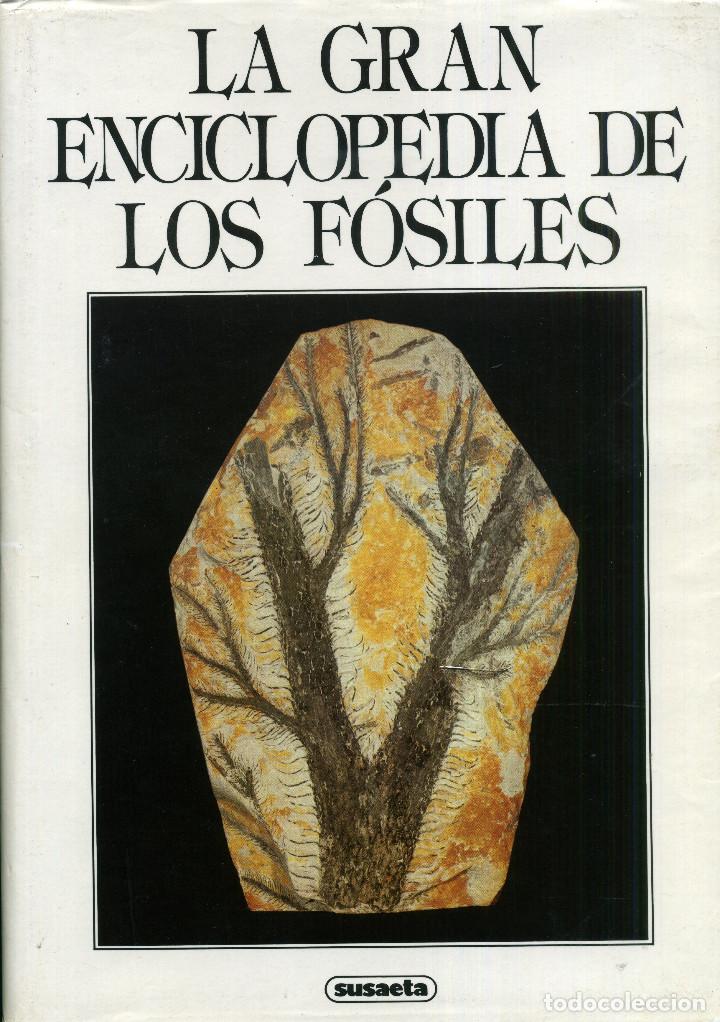 Libros de segunda mano: LA GRAN ENCICLOPEDIA DE LOS F&Oacute;SILES - Foto 1