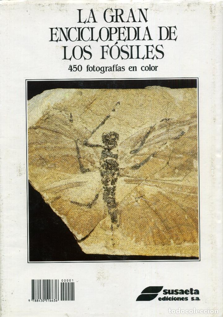 Libros de segunda mano: LA GRAN ENCICLOPEDIA DE LOS F&Oacute;SILES - Foto 2