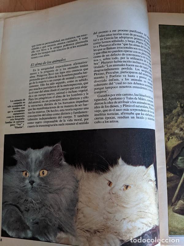 Libros de segunda mano: LOS ANIMALES DE COMPA&Ntilde;&Iacute;A - Foto 2
