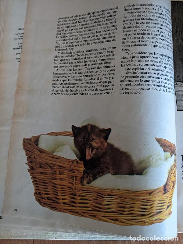 Libros de segunda mano: LOS ANIMALES DE COMPA&Ntilde;&Iacute;A - Foto 4