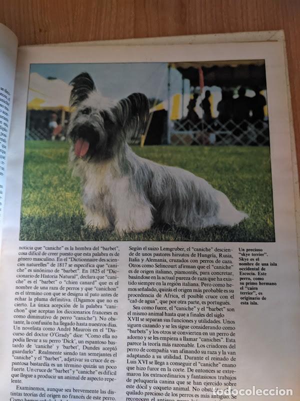 Libros de segunda mano: LOS ANIMALES DE COMPA&Ntilde;&Iacute;A - Foto 7