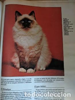 Libros de segunda mano: LOS ANIMALES DE COMPA&Ntilde;&Iacute;A - Foto 8