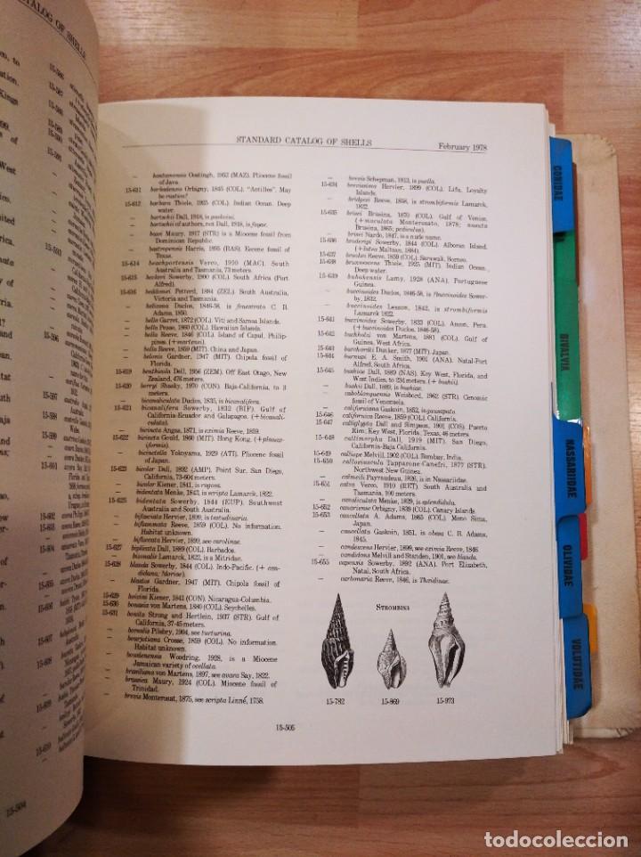 Libros de segunda mano: Standard catalog of shells. Wagner and Abbotts - Foto 5