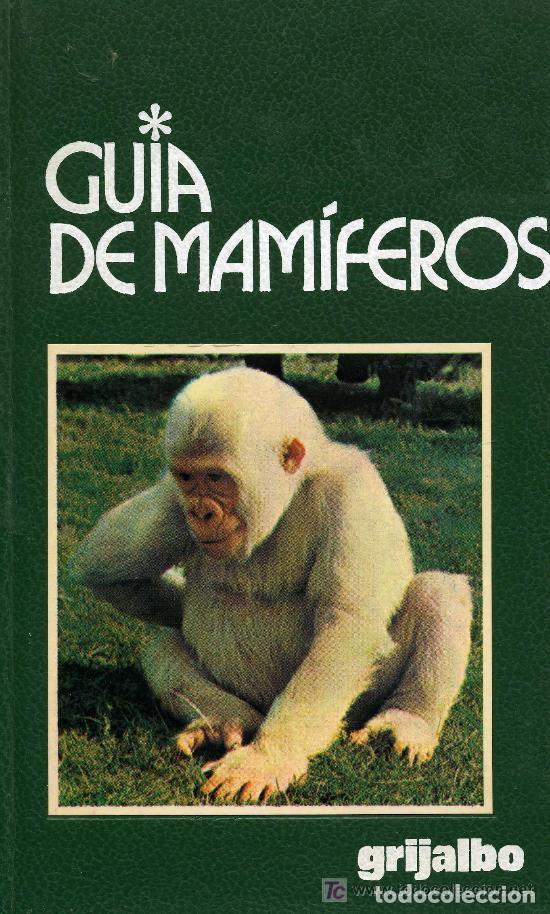 Libros de segunda mano: GUIA DE MAMIFEROS (TAPA DURA) - Foto 1