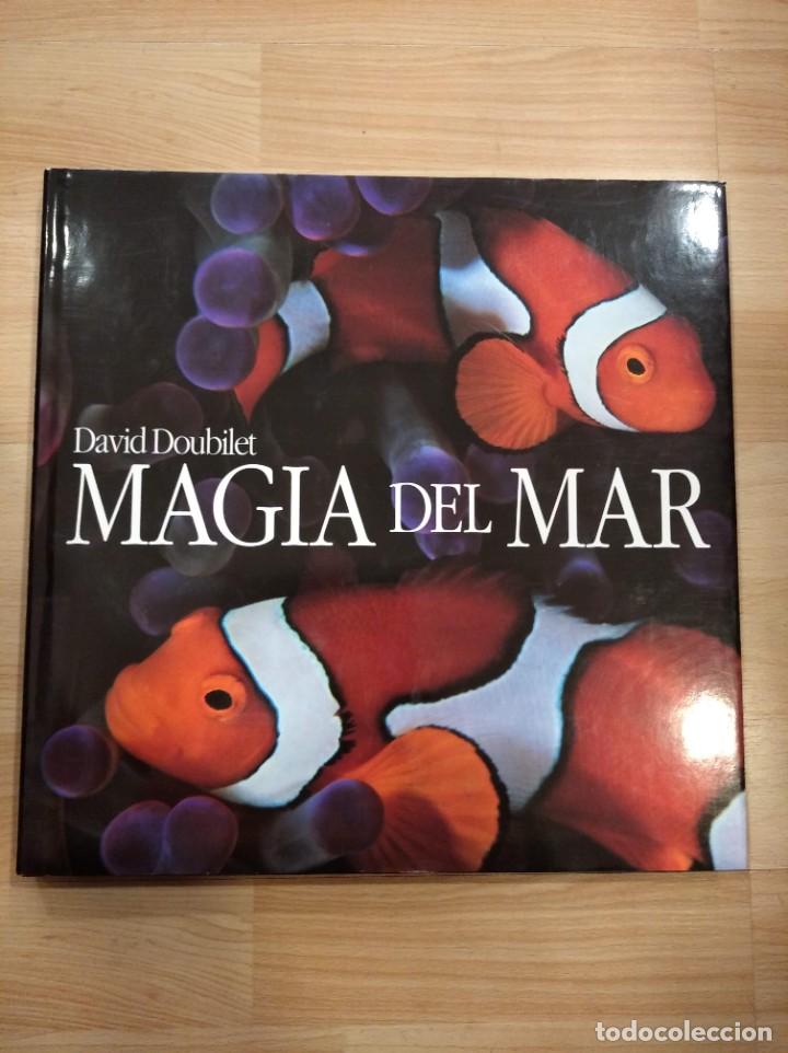 Libros de segunda mano: Magia del mar. David Doubilet - Foto 1