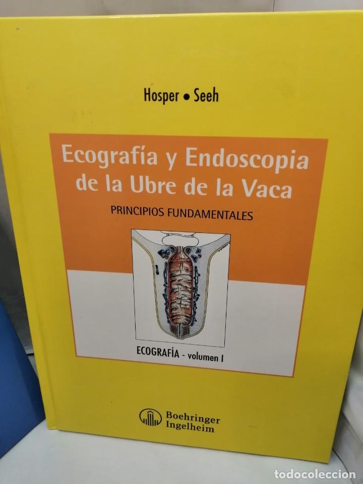 Libros de segunda mano: ECOGRAF&Iacute;A Y ENDOSCOPIA DE LA UBRE DE LA VACA, TOMOS 1 Y 2 (DOS VOL&Uacute;MENES) - Foto 2
