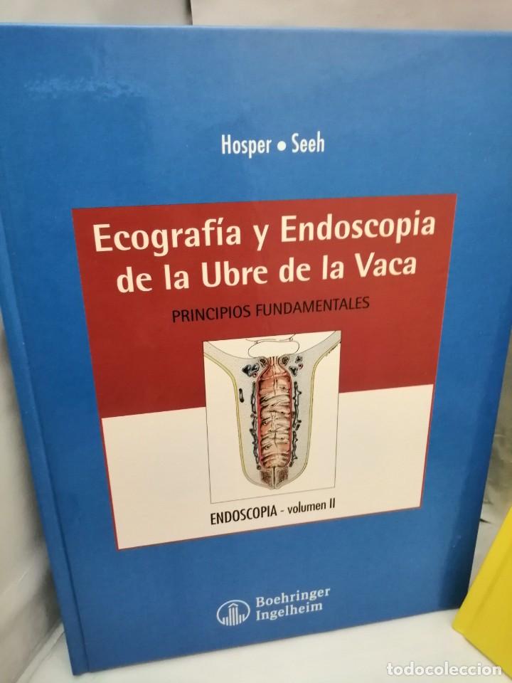 Libros de segunda mano: ECOGRAF&Iacute;A Y ENDOSCOPIA DE LA UBRE DE LA VACA, TOMOS 1 Y 2 (DOS VOL&Uacute;MENES) - Foto 3
