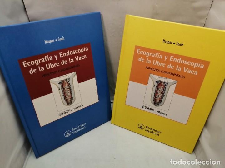 Libros de segunda mano: ECOGRAF&Iacute;A Y ENDOSCOPIA DE LA UBRE DE LA VACA, TOMOS 1 Y 2 (DOS VOL&Uacute;MENES) - Foto 1