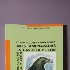 Libros de segunda mano: AVES AMENAZADAS EN CASTILLA Y LEÓN. YVETTE M. LORENZANA . EDIT. CAJA ESPAÑA. LEÓN 2007. Lote 368340246