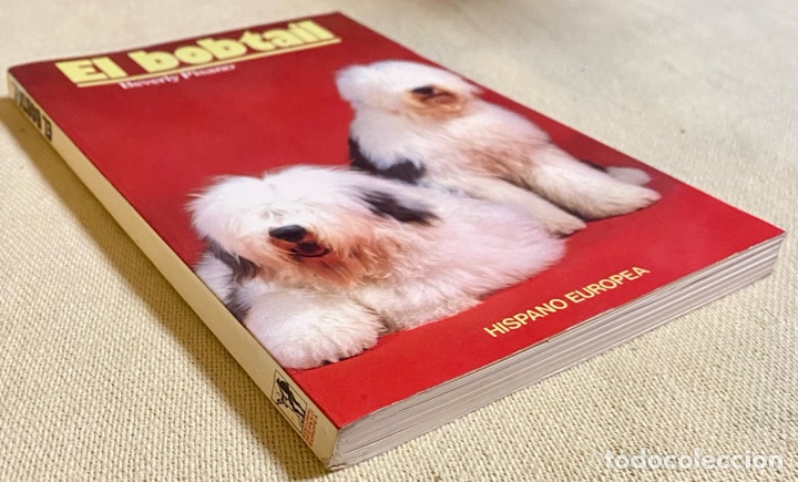 Libros de segunda mano: El Bobtail. Beverly Pisano. Hispano Europea. 1994. - Foto 2