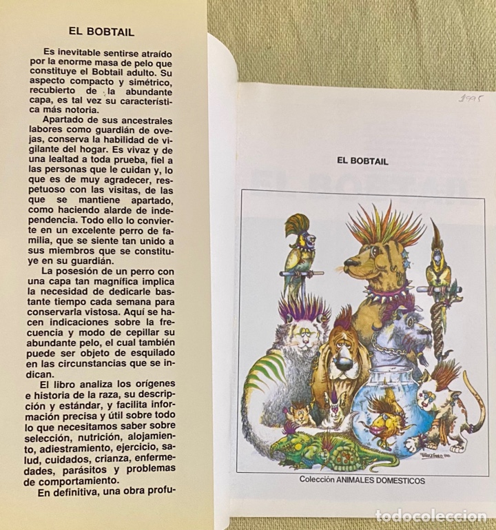 Libros de segunda mano: El Bobtail. Beverly Pisano. Hispano Europea. 1994. - Foto 3