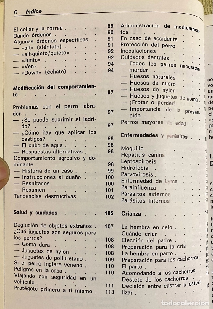 Libros de segunda mano: El Bobtail. Beverly Pisano. Hispano Europea. 1994. - Foto 6