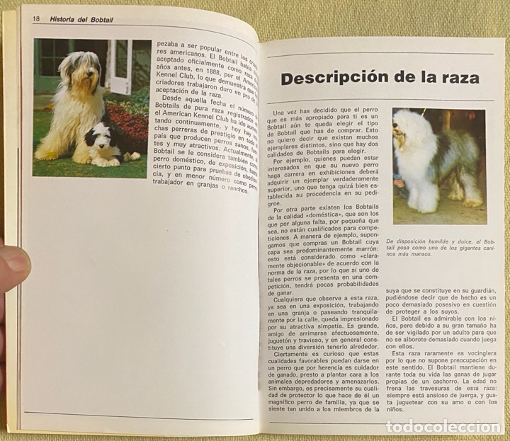 Libros de segunda mano: El Bobtail. Beverly Pisano. Hispano Europea. 1994. - Foto 7