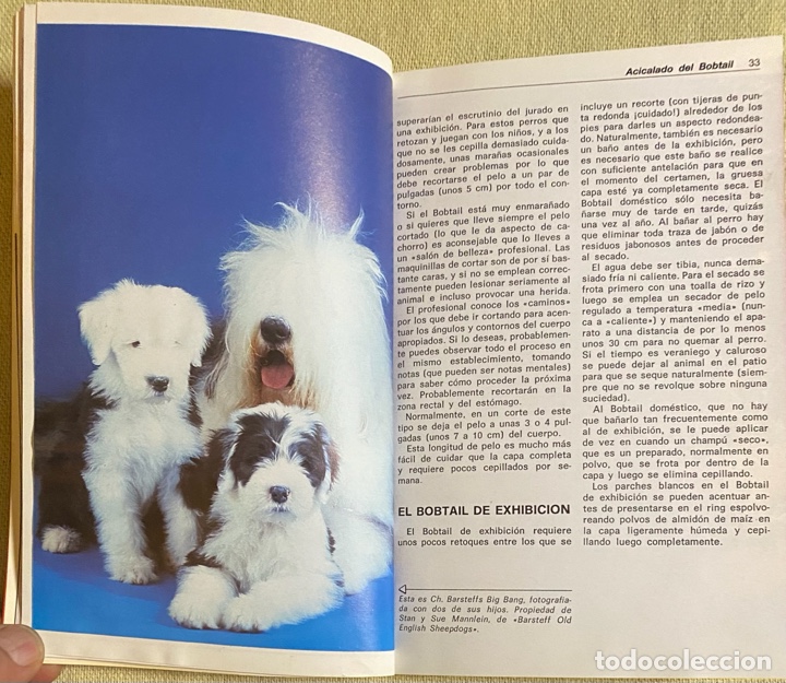 Libros de segunda mano: El Bobtail. Beverly Pisano. Hispano Europea. 1994. - Foto 8