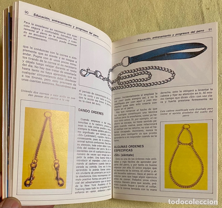 Libros de segunda mano: El Bobtail. Beverly Pisano. Hispano Europea. 1994. - Foto 10