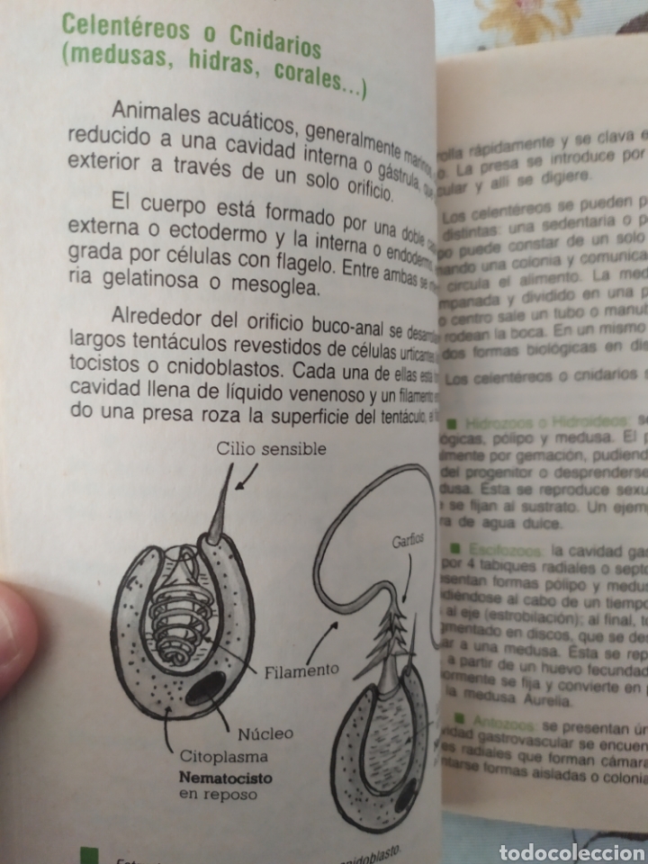 Libros de segunda mano: Ciencias naturales. Zoolog&iacute;a y Ecolog&iacute;a - Foto 2